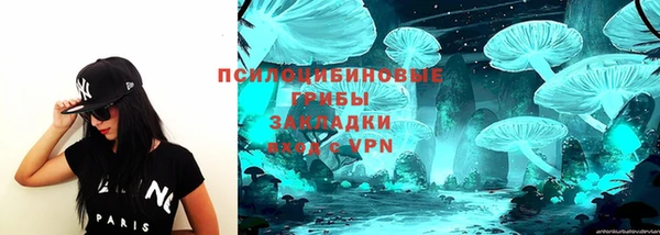 тгк Алексеевка