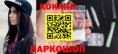 стаф Гатчина