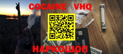 стаф Гатчина