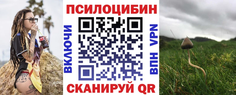мориарти как зайти  Котельники  Галлюциногенные грибы мицелий 