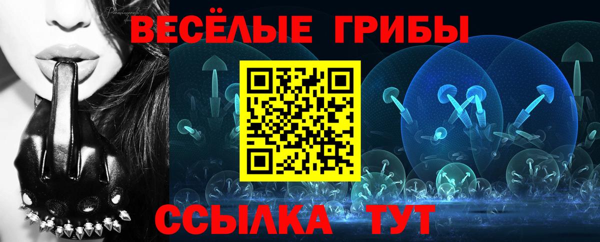 Псилоцибиновые грибы MAGIC MUSHROOMS  Вход с VPN  Котельники 