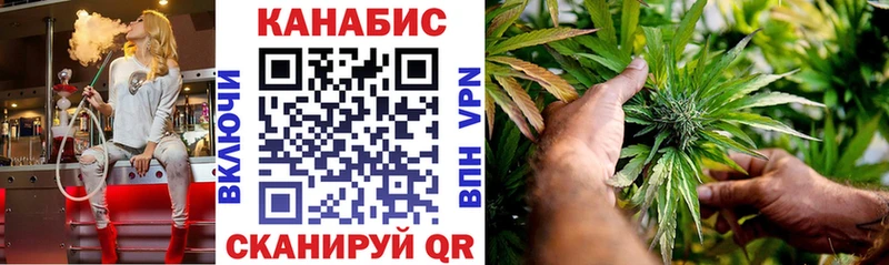 Шишки марихуана планчик  купить наркоту  Котельники 